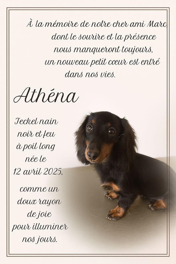 Athena Du Royaume De Moska